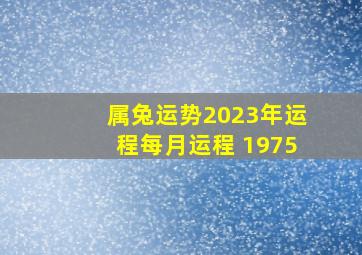 属兔运势2023年运程每月运程 1975